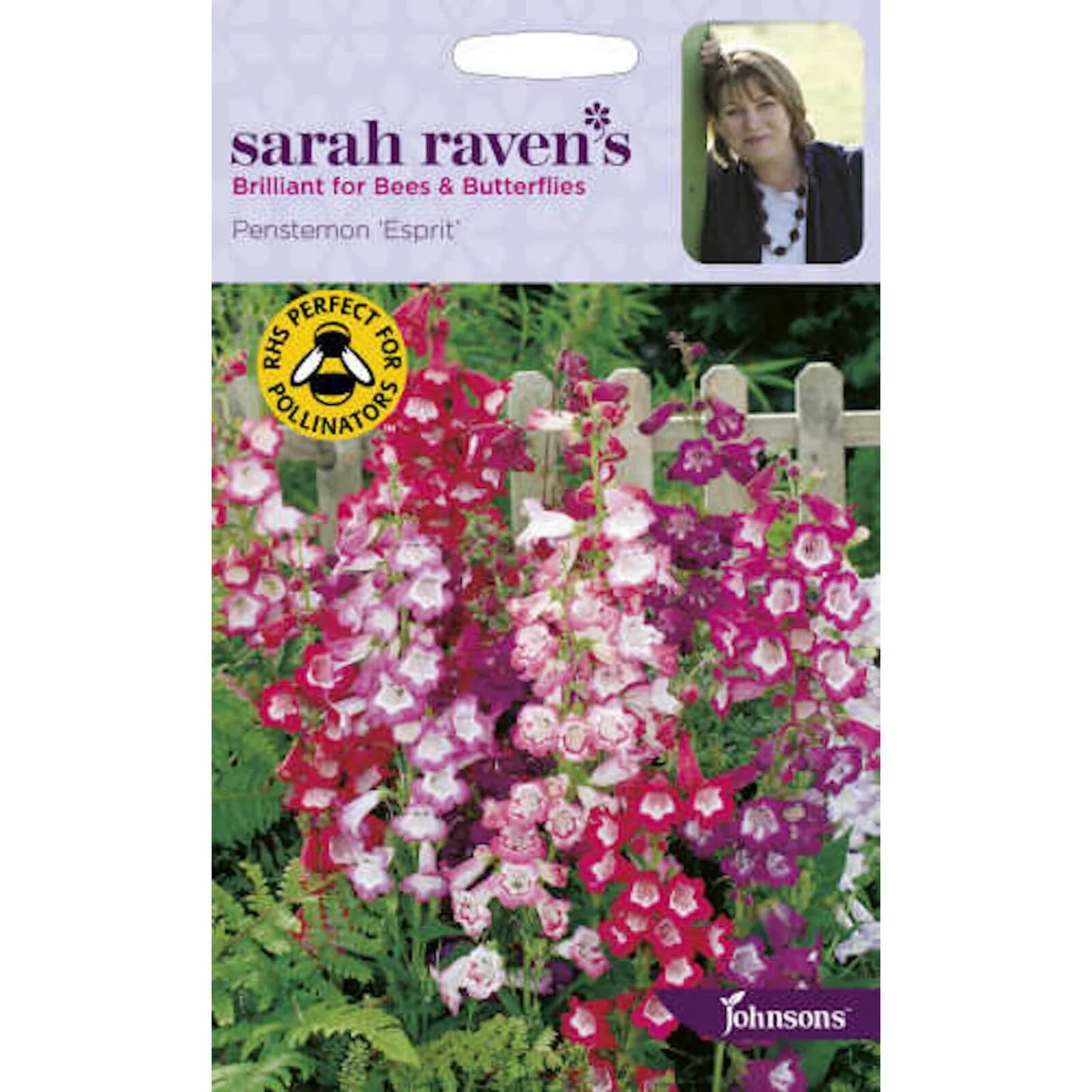 Sarah Ravens Penstemon Esprit Seeds 1 Sarah Ravens Penstemon Esprit Seeds