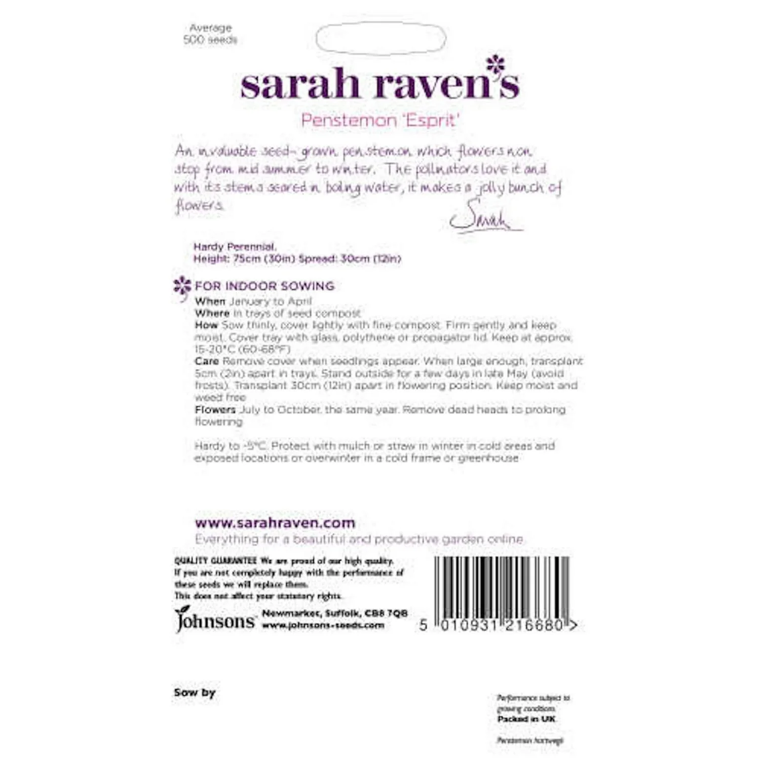 Sarah Ravens Penstemon Esprit Seeds 2 Sarah Ravens Penstemon Esprit Seeds - Image 2