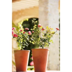 Terracotta Long Tom Plant Pot - 23cm -Garden Supplies Store 12805967 1664833173242506