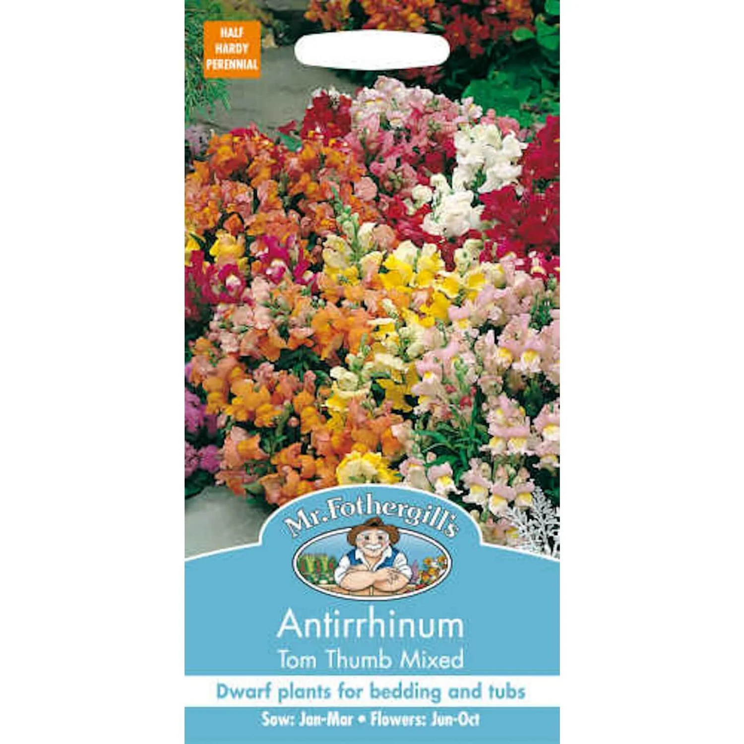 Mr. Fothergill's Antirrhinum Tom Thumb Mixed Seeds 1 Mr. Fothergill's Antirrhinum Tom Thumb Mixed Seeds