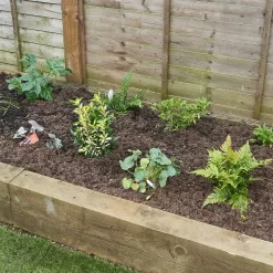 Shady Border Collection - 5m X 90cm 9 Shady Border Collection - 5m X 90cm -Garden Supplies Store 12811421 1315035132269405