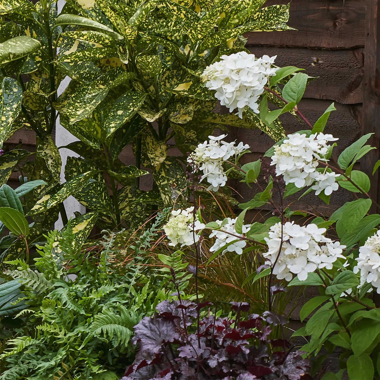 Shady Border Collection - 5m X 90cm 6 Shady Border Collection - 5m X 90cm - Image 6