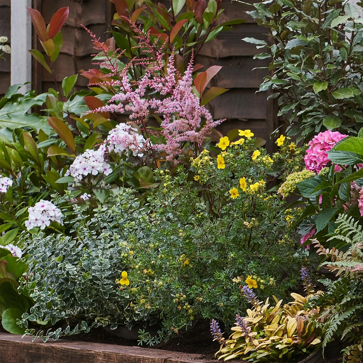 Shady Border Collection - 5m X 90cm 4 Shady Border Collection - 5m X 90cm - Image 4