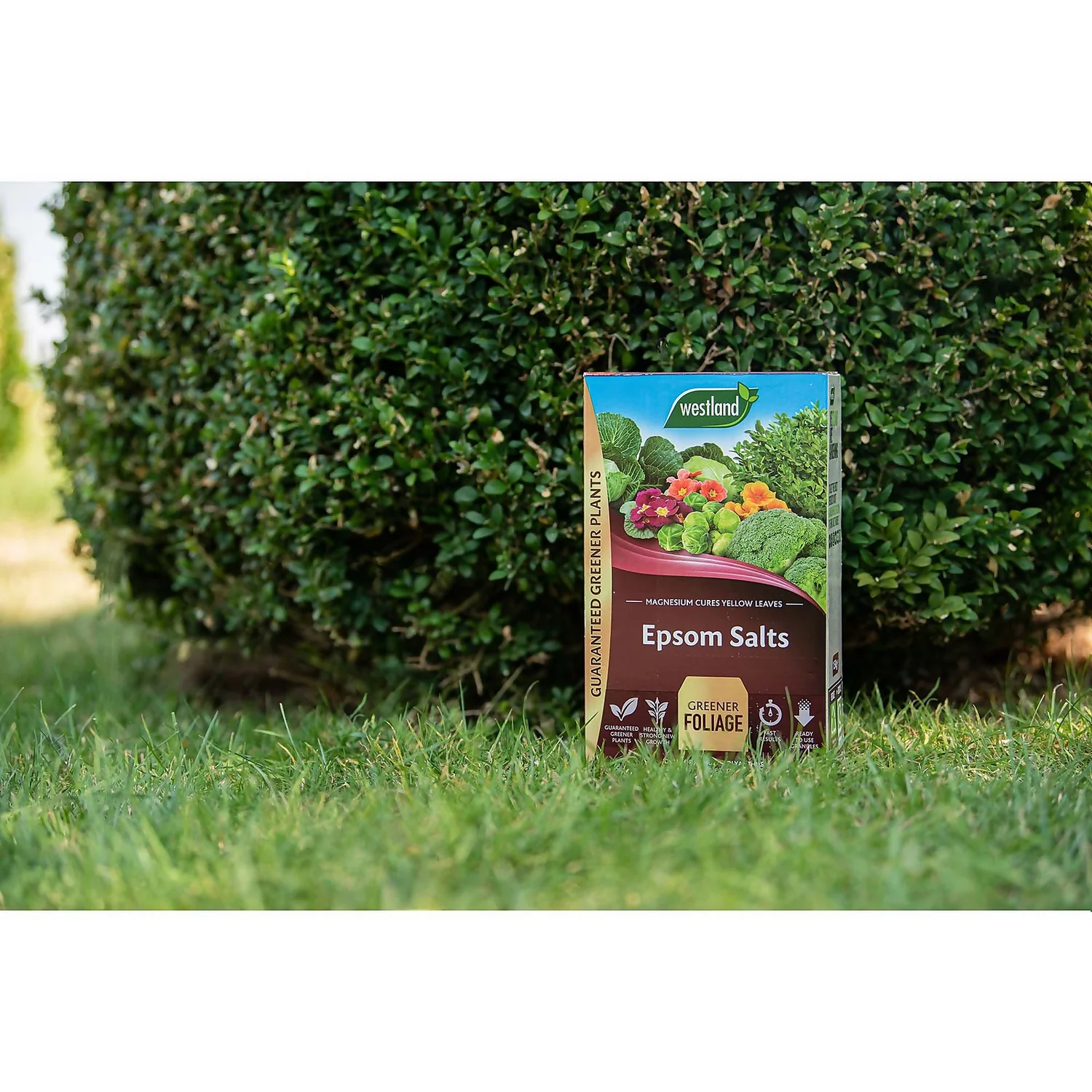 Westland Epsom Salts - 1.5kg 2 Westland Epsom Salts - 1.5kg - Image 2