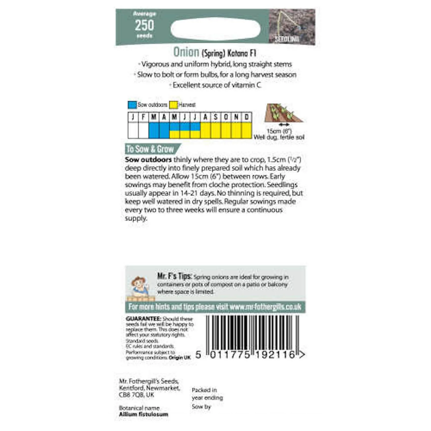 Mr. Fothergill's Onion Spring Katana F1 Seeds 2 Mr. Fothergill's Onion Spring Katana F1 Seeds - Image 2