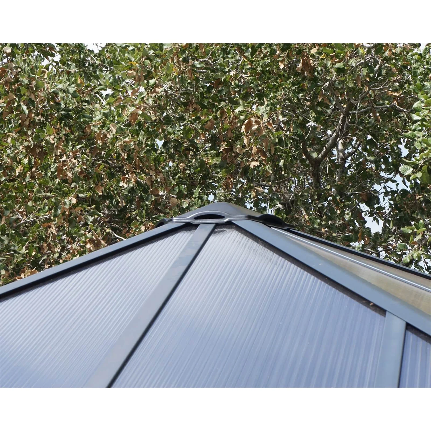 Palram - Canopia Garda Garden Conservatory Grey Bronze 5 Palram - Canopia Garda Garden Conservatory Grey Bronze - Image 5