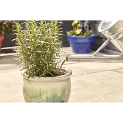 Miracle-Gro Pump & Feed All Purpose Plant Food - 200ml 10 Miracle-Gro Pump & Feed All Purpose Plant Food - 200ml -Garden Supplies Store 12834802 8834833167206419