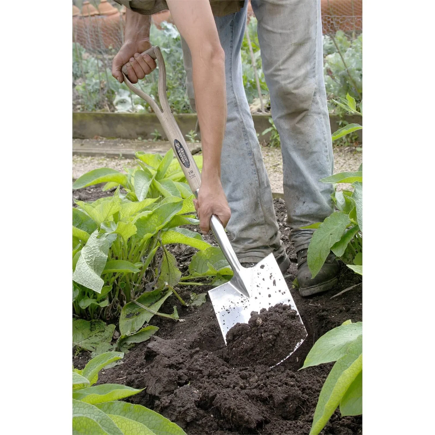 Spear & Jackson Traditional Stainless Digging Spade 2 Spear & Jackson Traditional Stainless Digging Spade - Image 2
