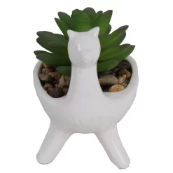 Artificial Alpaca Flower Succulent -Garden Supplies Store 12879280 1014858347995445
