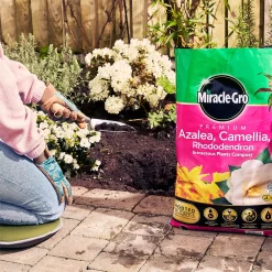 Miracle Gro Premium Azalea, Camellia & Rhododendron Ericaceous Compost - 40L 9 Miracle Gro Premium Azalea, Camellia & Rhododendron Ericaceous Compost - 40L -Garden Supplies Store 12882812 1004843671886080
