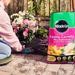 Miracle Gro Premium Azalea, Camellia & Rhododendron Ericaceous Compost - 40L 11 Miracle Gro Premium Azalea, Camellia & Rhododendron Ericaceous Compost - 40L -Garden Supplies Store 12882812 1404843671956442