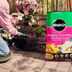 Miracle Gro Premium Azalea, Camellia & Rhododendron Ericaceous Compost - 40L 10 Miracle Gro Premium Azalea, Camellia & Rhododendron Ericaceous Compost - 40L -Garden Supplies Store 12882812 1924843671918789