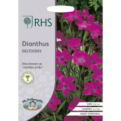 RHS Dianthus Deltoides