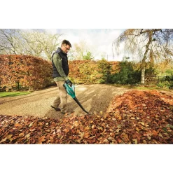 Bosch ALB 18 Li Cordless Garden Blower -Garden Supplies Store 12885389 8914843941828771