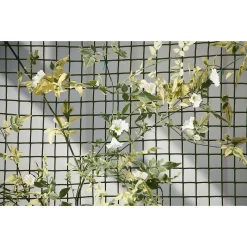 General Purpose Garden Mesh -Garden Supplies Store 12885593 2134856729627259