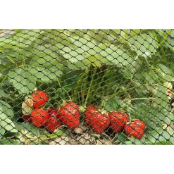 15mm Green Multi-Mesh - 5m X 1m -Garden Supplies Store 12885594 1994856729988195