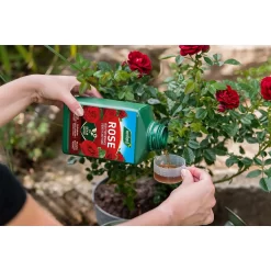 Westland Rose Specialist Liquid Plant Food Concentrate - 1l -Garden Supplies Store 12886481 7044936610878716