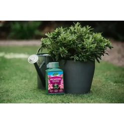 Westland Ericaceous Specialist Feed - 1l 9 Westland Ericaceous Specialist Feed - 1l -Garden Supplies Store 12886482 6714971590616774
