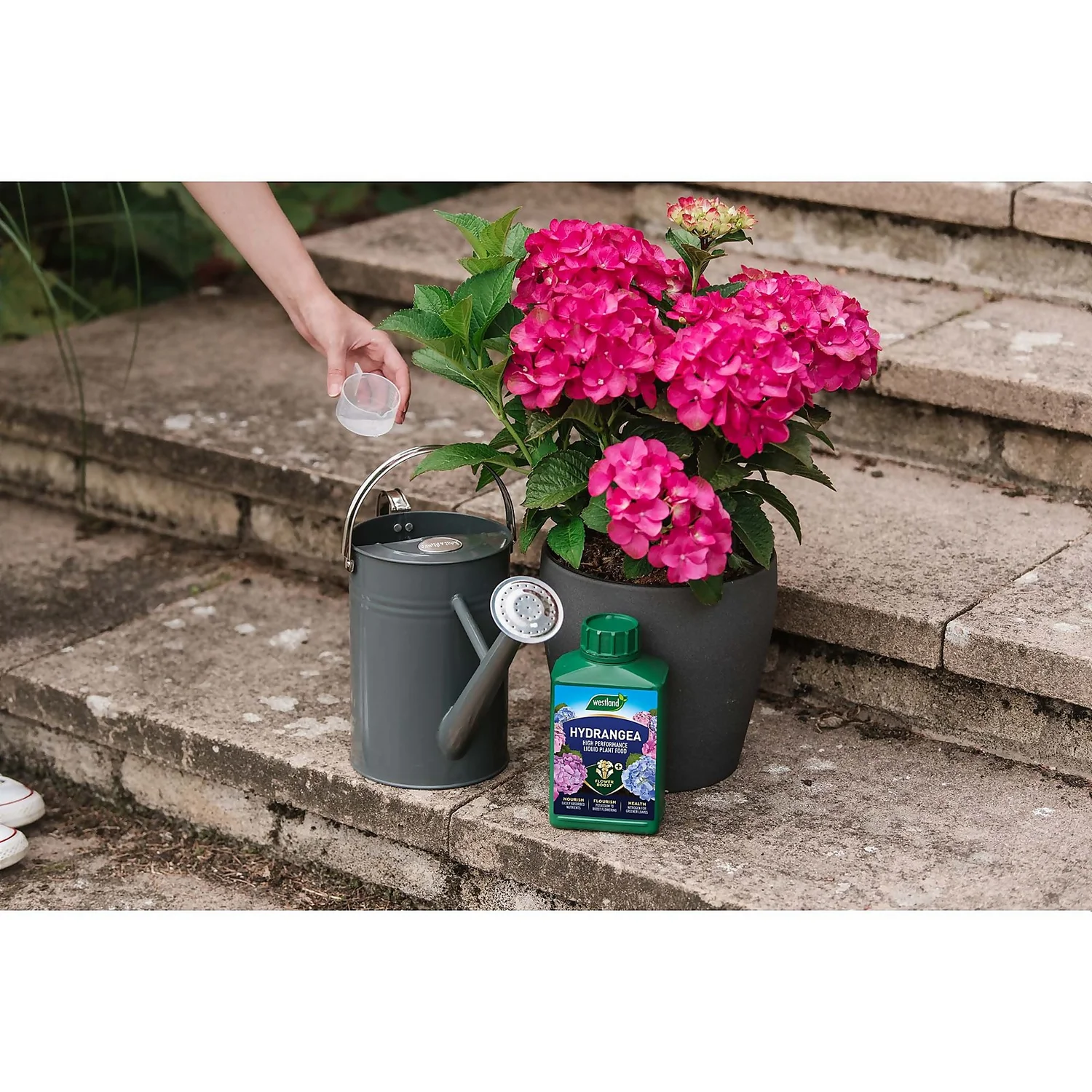 Westland Hydrangea Feed - 1l 5 Westland Hydrangea Feed - 1l - Image 5