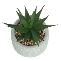 Small Succulent - Green -Garden Supplies Store 12909501 6844869235562523