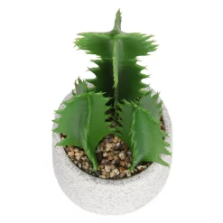 Cactus In Textured Pot -Garden Supplies Store 12909506 2804869235539384