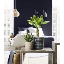 Scheurich Alma Blue Ceramic Pot - 16cm -Garden Supplies Store 12912147 7604845867852591