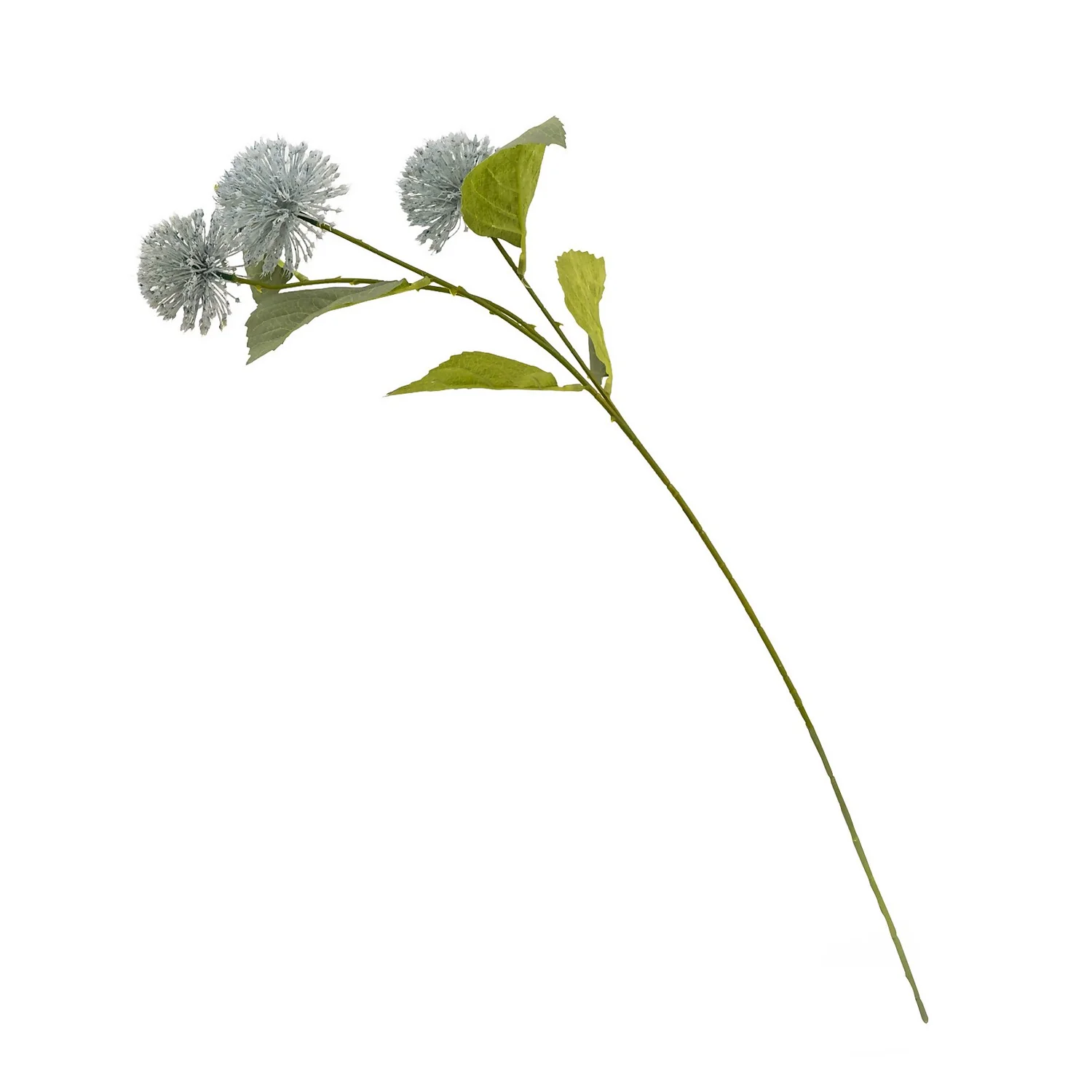 Onion Flower - Blue 1 Onion Flower - Blue