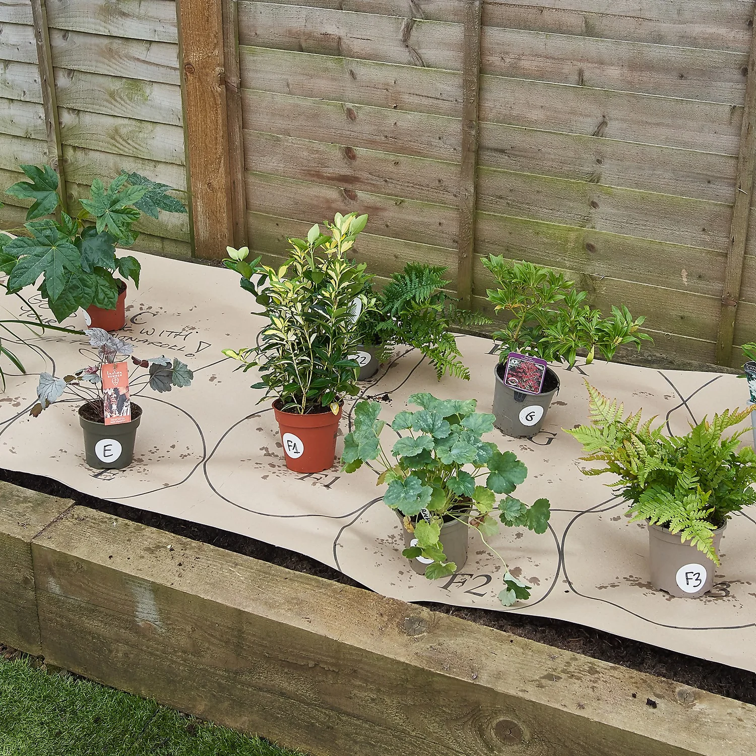 Sunny Border 2m X 40cm 2 Sunny Border 2m X 40cm - Image 2