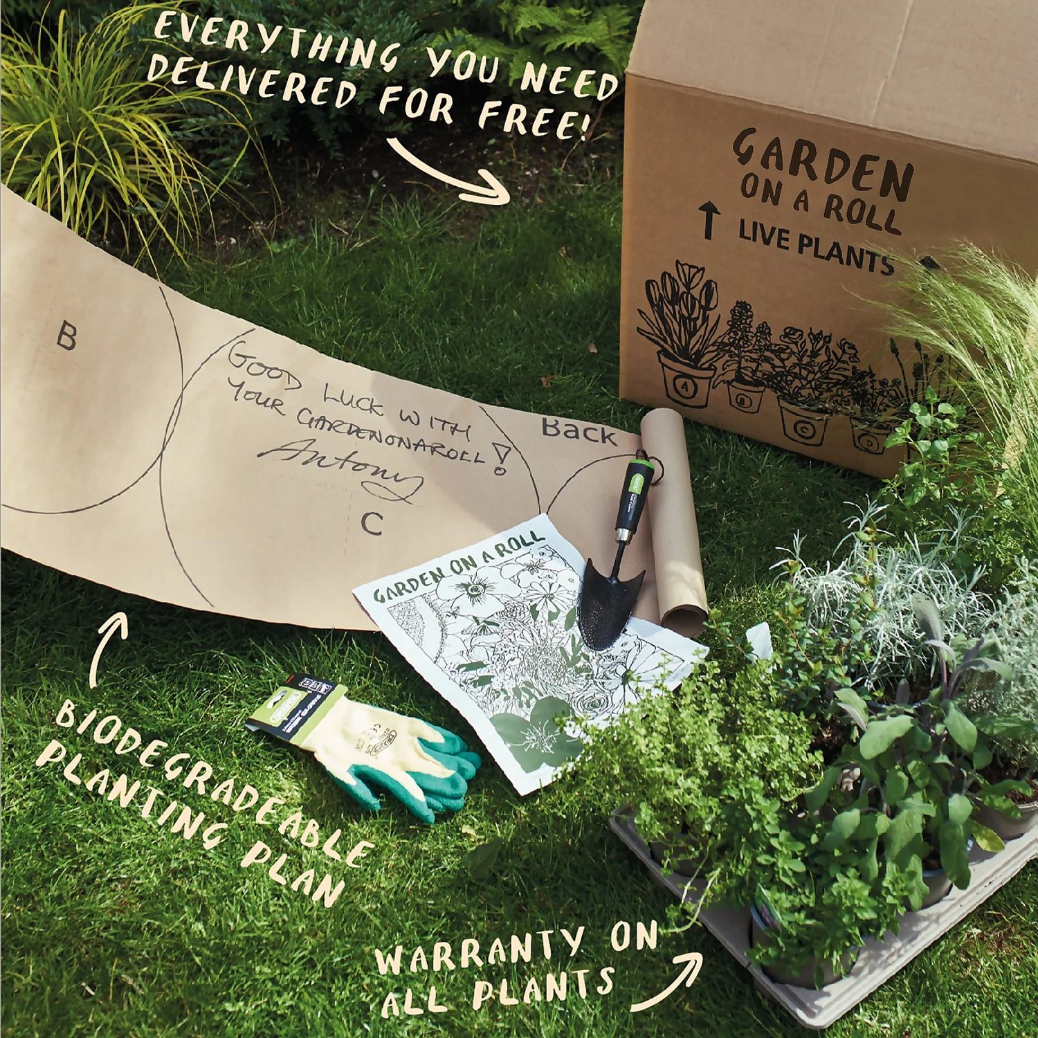 Sunny Border 2m X 40cm 7 Sunny Border 2m X 40cm - Image 7