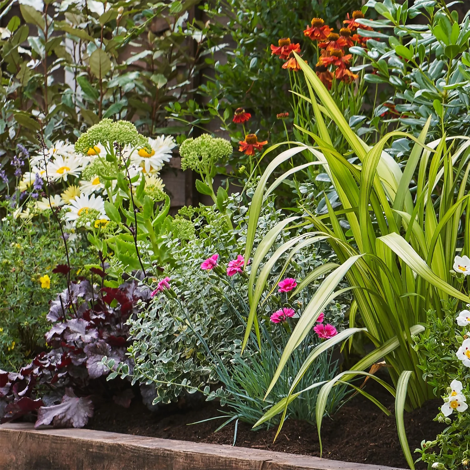 Sunny Border 2m X 40cm 4 Sunny Border 2m X 40cm - Image 4