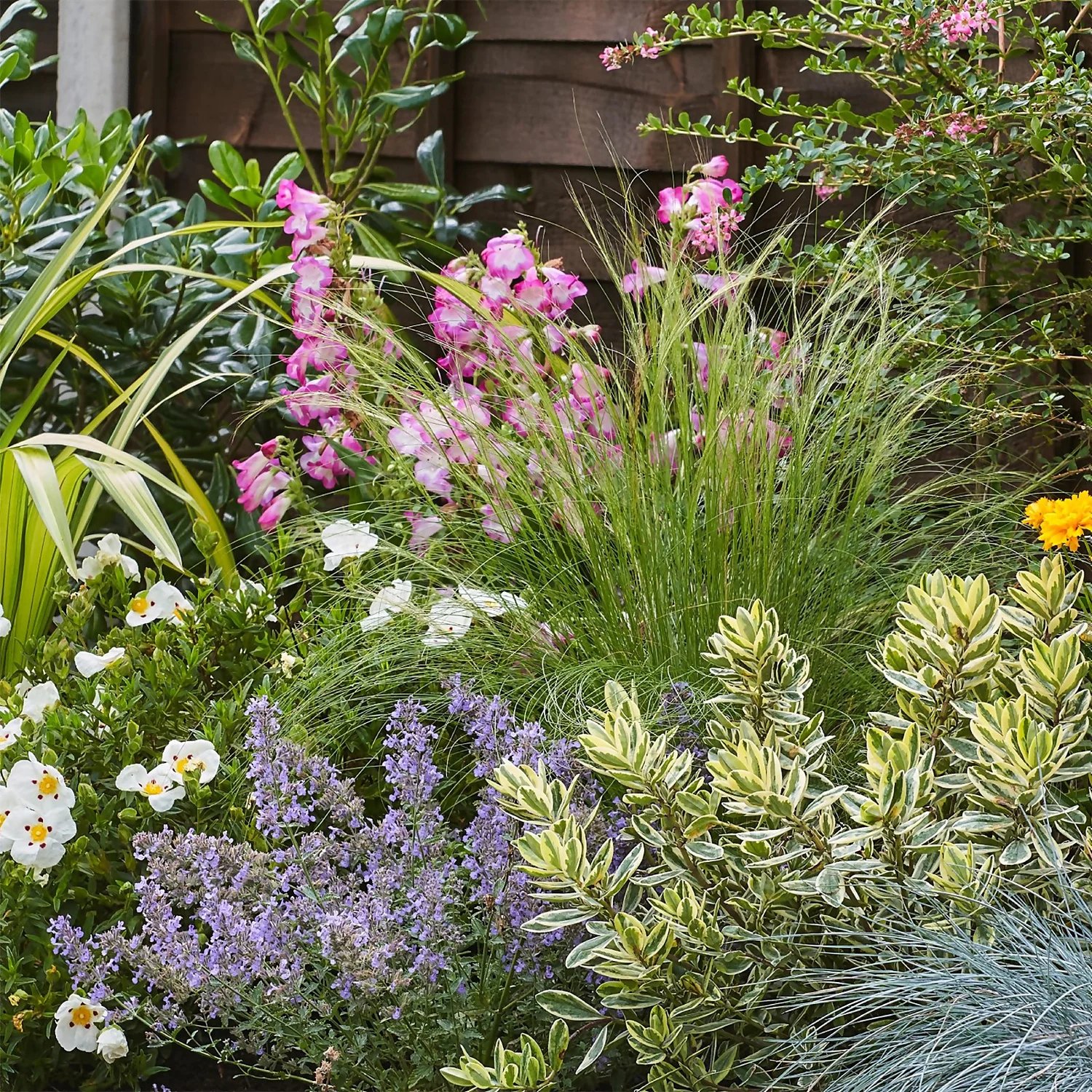 Sunny Border 2m X 40cm 5 Sunny Border 2m X 40cm - Image 5