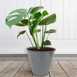 Ribbed Planter (3 Colour Mix) - 18cm -Garden Supplies Store 13193953 1834933504482486