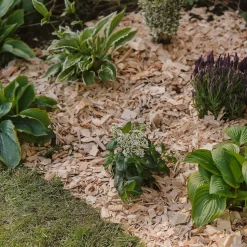 Westland Rustic Wood Chips - 60L -Garden Supplies Store 13280769 1564929084866478