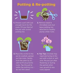 Westland Orchid Potting Mix Peat Free 8L -Garden Supplies Store 14013784 4815003754410304