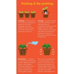 Westland Cacti & Succulent Potting Mix Peat Free 4L -Garden Supplies Store 14013786 1245003754031248