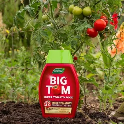 Westland Big Tom Super Tomato Food -Garden Supplies Store 14013789 1265003754036822