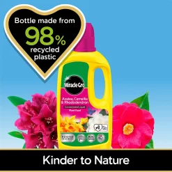 Miracle-Gro Azalea, Camellia & Rhododendron Concentrated Liquid Plant Food 800ml 6 Miracle-Gro Azalea, Camellia & Rhododendron Concentrated Liquid Plant Food 800ml -Garden Supplies Store 14014511 1175034803038212