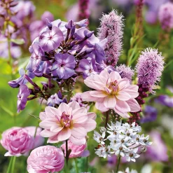 Collection Butterfly Attracting -Garden Supplies Store 14194652 1455015428981278