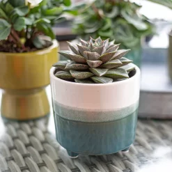 Two Tone Ombre Indoor Plant Pot - 12cm -Garden Supplies Store 14197407 1005024191386699