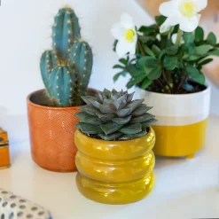 Two Tone Ombre Indoor Plant Pot - 12cm -Garden Supplies Store 14197407 1225024191593906