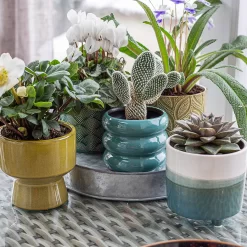 Two Tone Ombre Indoor Plant Pot - 12cm -Garden Supplies Store 14197407 1295024191549506