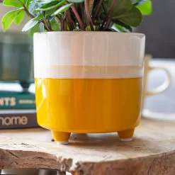 Two Tone Ombre Indoor Plant Pot - 12cm -Garden Supplies Store 14197407 3655024191436277