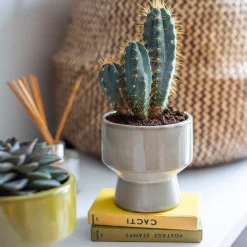 Chamfered Indoor Plant Pot - 13cm -Garden Supplies Store 14197408 4575024191304589