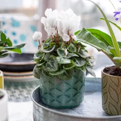 Art Deco Indoor Plant Pot - 12cm -Garden Supplies Store 14197411 2035024190791106