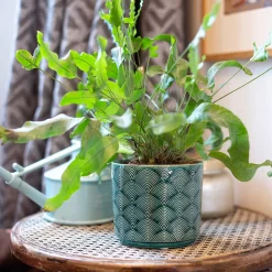 Art Deco Indoor Plant Pot - 12cm -Garden Supplies Store 14197411 8455024190966417