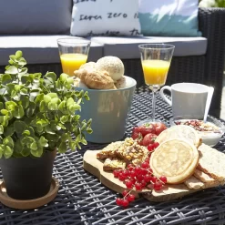 Keter California 4 Seater Outdoor Garden Furniture Lounge Set - Graphite With Grey Cushions -Garden Supplies Store 14539591 1385041801776162